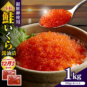 yӂ邳Ɣ[Łz yNz tIz ݖЂ  y eʂIׂ z( 250g × 2 / 4 ) | 500g 1kg  e ikura Ⓚ   瘥 {  CN C̍K CY 