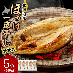 yӂ邳Ɣ[Łz] ^ق kCY yeʂIׂzs200g×5E10^(400gȏ) 5^(500gȏ) 5t Iׂ傫  ق 銱 ^pbN  