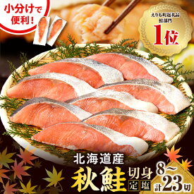 【ふるさと納税】 高評価 秋鮭 切り身 小分け 国産 北海道 【 選べる 内容量 】( 80g × 8切 / 13切 / 23切 ) 鮭 塩鮭 白鮭 さけ サケ 秋 旬 魚 ブランド魚 個包装 パック 北海道産 人気 弁当 魚介 焼き魚 定塩 切身 定塩鮭 大容量 便利 海鮮 海産物 魚介 冷凍 えりも町