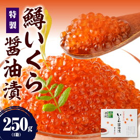 【ふるさと納税】高評価 鱒 いくら 醤油漬け 小分け 【内容量が選べる】 ( 250g × 1箱 / 2箱 / 4箱 130g × 4箱 ) 500g 520g 1kg 鱒いくら 北海道 大容量 ikura 冷凍 鱒卵 魚卵 魚介 いくら丼 海鮮 海の幸 海産物 ギフト 送料無料 えりも町