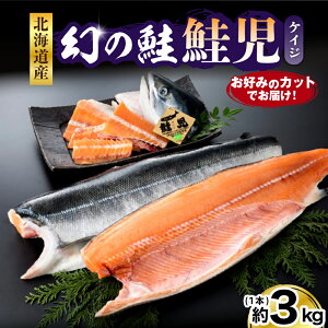 yӂ邳Ɣ[Łz   3kg D݂̃Jbgł͂ /  TP VP   Ђ RЂ   ƊE CN CY Ⓚ Ⓚ  O Y kCY kC 