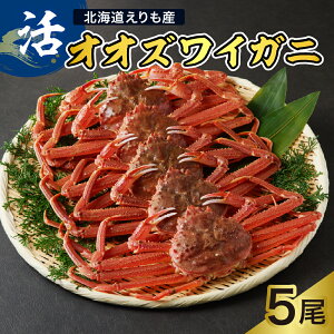 �y�ӂ邳�Ɣ[�Łz�k�C���Y �� �I�I�Y���C�K�j 1�������� 300g�ȏ� ( ���e�ʂ��I�ׂ� / 2�� 3�� 4�� 5�� ) ��Y���C ��Y���C�K�j �Y���C�K�j ���� �I ���� �C�N �V�N �� �l�C �������� ���Y ���Y 