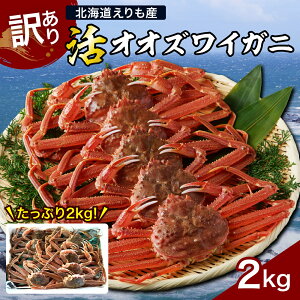 yӂ邳Ɣ[Łz]4.68 󂠂 kCY  IIYCKj p 2kg ① / YC YCKj YCKj YC I  JjX r[Ly[ A s KiO 