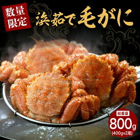 【ふるさと納税】【数量限定】北海道産『浜茹で 毛がに』計800g ( 400g × 2尾 )ボイル 毛ガニ けがに かに カニ 蟹 カニ味噌 蟹味噌 かに味噌 濃厚 魚介 海鮮 海産物 人気 冷凍配送 送料無料 国産 道産 お取り寄せグルメ 襟裳 北海道 えりも町