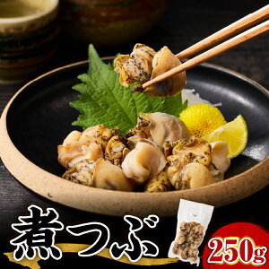 yӂ邳Ɣ[Łz kCY ςԊL (tȂ) 250g y2025N12ȍ~z|  G]oC C\cu G]oCKC CN  L  O Yn  Mtg 蕨 Ⓚ 