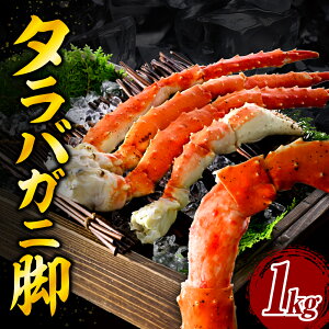 yӂ邳Ɣ[Łz{C ^oKj r 1kg 5LTCY kCyr[Ly[z/  I Ⓚ {Cς 䥂   CN C̍K CY }Ⓚ  Mtg 