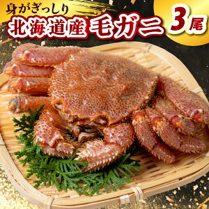 yӂ邳Ɣ[Łz kCY уKjyeʂIׂzi450g × 2 / 3j т 䥂ŖъI {C {Cς 䥂  I p ɂ݂ ɓ Ⓚ   CN C̍K CY 