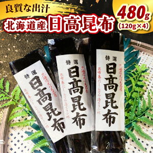 yӂ邳Ɣ[Łz kCY z yeʂIׂz240g (120g×2) 480g (120g×4) VRz VR V z z ` o` o`  ł z   ϕ e