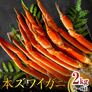 yӂ邳Ɣ[Łz{YCKj {Cς 6`9i2kgj/  I YCKj 킢I YC {C 䥂 Jj r  Ir I   CN C̍K CY YHi Hi 