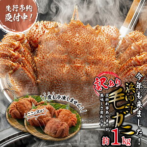 yӂ邳Ɣ[Łz 2026N2{珇 󂠂 kCY l уKj  1kg \񏤕i ъI уKj kC ① ъI  I Jj ɖX JjX VN { {C CN C