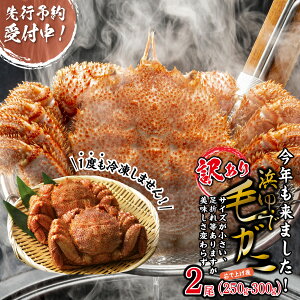 yӂ邳Ɣ[Łz 2026N2{珇 󂠂 kCY l уKj 2 ( 1 250g ` 300g ) ъI т ɖX JjX VN { {C l䥂 CN CY 킯 