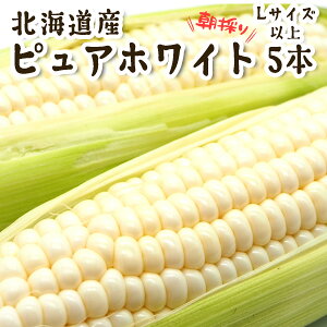 yӂ邳Ɣ[Łz  10{蔭Jn  kCY  Ƃ낱 5{ LTCY ȏ sAzCg gERV Ƃ R[  zCg  Â Ԍ ̂  VN 