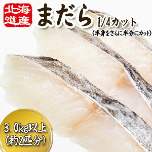 yӂ邳Ɣ[Łz 11{蔭Jn kCY ܂ 1/4Jbg 3.0kg ȏ i 2C  8`10 j ^L }_ ^ ^_  L ^ ؂g 1/4Jbg   CN  CY ① 