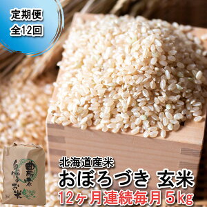 yӂ邳Ɣ[Łz    kCY ڂÂ 5kg  12 󏭕    kC ٓ ɂ 퉷 kC VЂ