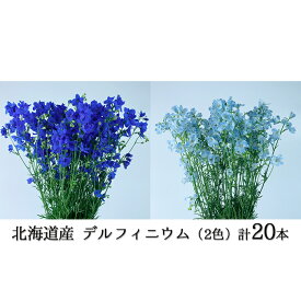 楽天市場 デルフィニウム 花束の通販