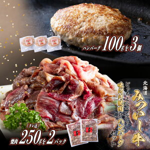 yӂ邳Ɣ[Łz kCY јa ݂ t ē  no[O v 800g ( 250g × 2pbN ^  100g × 3 ) Zbg a uh zG[ uh  ؓ    r[