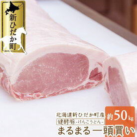 【ふるさと納税】 北海道産 ブランドポーク 一頭買い 計 約 50kg 冷蔵 大容量 ロース 肩ロース バラ ヒレ ウデ モモ ブロック ポーク 健酵豚 豚肉 ポーク 酵素 パーティー バーベキュー BBQ とんかつ 豚カツ トンテキ 生姜焼き 焼き豚 旨味 うまみ うま味 北海道 新ひだか町