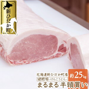 yӂ邳Ɣ[Łz kCY uh|[N  v  25kg ① e [X [X o q Ef  ubN ؓ y   |[N p[eB[ o[xL[ BBQ Ƃ񂩂 