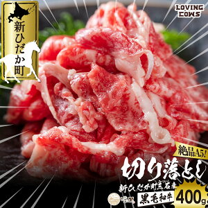 yӂ邳Ɣ[Łz kCY јa ԍ A5  o ؂藎Ƃ 400g ~ a uh  uh   r[t Ⓚ kC VЂ LC