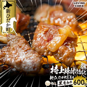 yӂ邳Ɣ[Łz kCY јa ԍ A5 Jr t v 600g ( 300g× 2pbN ) a tJr uh  BBQ o[xL[ ē uh   r[t Ⓚ kC VЂ