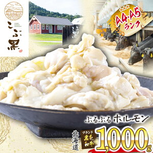 yӂ邳Ɣ[Łz kCY јa ԍ A5 A4 z v 1kg ( 500g × 2pbN ) a uh  uh   r[t ՂՂ   c  ē ύ  a Ⓚ