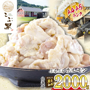yӂ邳Ɣ[Łz kCY јa ԍ A5 A4 z v 2 kg ( 500g × 4pbN ) a uh  uh   r[t ՂՂ   c  ē ύ  a 