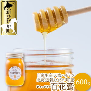 yӂ邳Ɣ[Łz kCY VR  ݂͂ SԖ 600g Y Ɛ @sAnj[  n`~c I VR kC VЂ