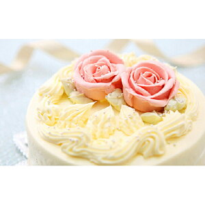 yӂ邳Ɣ[Łz  a̖킢 o^[N[P[L@kC VЂ IWiP[L o^[ N[ P[L z[P[L   AvRbg W XC[c 