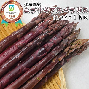 yӂ邳Ɣ[Łz 2026N4{菇 kCY t̂ TLAXp v 1kg 2L TCY  AXp ӂ邳Ɣ[ AXpKX ① {   ӂ邳Ɣ[ kC VЂ