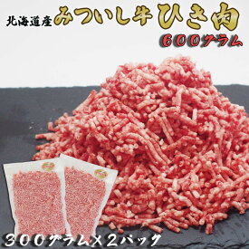 【ふるさと納税】 北海道産 黒毛和牛 みついし牛 A5 ひき肉 600g 和牛 ブランド牛 ブランド 挽肉 挽き肉 牛肉 牛 肉 ビーフ 冷凍 北海道 新ひだか町