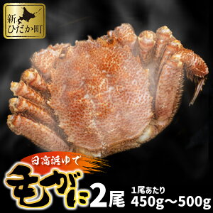 yӂ邳Ɣ[Łz kCY  l т 2 v 900g ȏ 1 450g ` 500g ъI уKj  I Jj ɖX JjX VN { {C CN CY  IX ݂ Ⓚ kC
