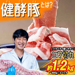 yӂ邳Ɣ[Łz kCY uh|[N Ԑ؂ v 1.2kg ( 400g × 3pbN ) y e  ܐ؂ ؓ   uh |[N u IĂ Ă DݏĂ yf | 