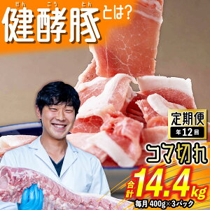 yӂ邳Ɣ[Łz  12 ց kCY uh|[N Ԑ؂  v 1.2kg ( 400g × 3pbN ) v 14.4kg y ؓ e  ܐ؂   uh |[N yf | 