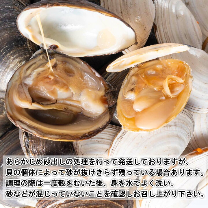 楽天市場 ふるさと納税 12月上旬より発送開始 北海道産 活 ホッキ貝 白貝 計 35個 ホッキ 15個 白貝 個 冷蔵 貝 魚介 海鮮 海産物 新鮮 旬 食べ比べ セット お刺身 カレー バター焼き フライ 北海道 新ひだか町 23年5月まで受付