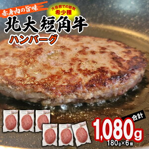 yӂ邳Ɣ[Łz kCw q Zp no[O v 1080g ( 180g × 6 ) a Ԑg | {Zp no[OXe[L    r[t Ⓚ kq kC VЂ