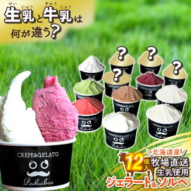 【ふるさと納税】 アイス ジェラート ソルベ 12個 入り 北海道産 生乳 ジェラートセット スイーツ ミルク カップアイス カップ 詰め合わせ 冷凍 北海道 新ひだか町