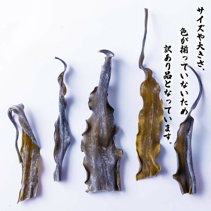 ふるさと納税 訳あり 日高昆布 ねこんぶ 800g 不揃い 根昆布 お出汁 大容量