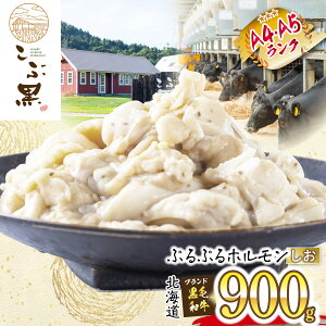 yӂ邳Ɣ[Łz kCY јa ԍ A5 A4  z v 900g i 300g × 3pbN j a uh  uh   r[t ՂՂ   c  ē ύ  