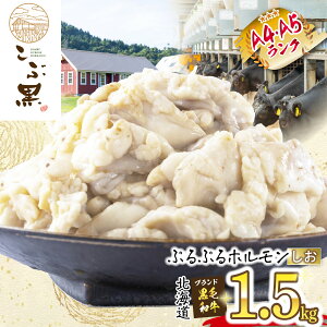 yӂ邳Ɣ[Łz kCY јa ԍ A5 A4  z v 1.5kg i 300g × 5pbN j a uh  uh   r[t ՂՂ   c  ē ύ Ⓚ 