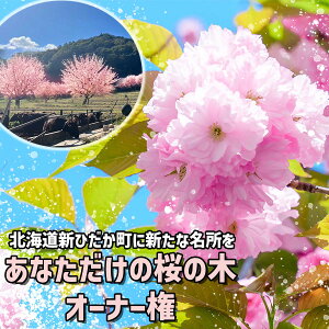 yӂ邳Ɣ[Łz  VЂ ɐV      Ȃ  ̖ I[i[    d O Lv BBQ o[xL[ AEghA kC VЂ O ܂