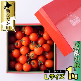 【ふるさと納税】 ＜9/15までの受付＞ 北海道産 ミニトマト 太陽の瞳 Lサイズ 1kg 冷蔵 ふるさと納税トマト 野菜 サラダ 新鮮 旬 しずない産 ふるさと納税 北海道 新ひだか町