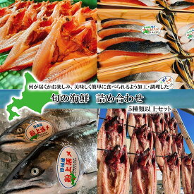 【ふるさと納税】 北海道産 旬のお魚 5種 以上 豪華 お楽しみ 詰め合わせ セット 西京漬け 干物 刺身 煮魚 ホッケ カレイ 鮭 鯖 ブリ 海の幸 詰合せ 旬 魚 魚介 海鮮 海産物 冷凍 北海道 新ひだか町