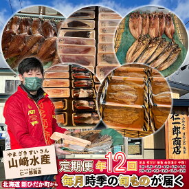【ふるさと納税】 ＜ 定期便12回＞ 北海道産 旬の魚介 4~5種 毎月届く お楽しみ 定期便 西京漬け 干物 刺身 煮魚 ホッケ カレイ 鮭 鯖 鱈 詰め合わせ 詰合せ 海の幸 旬 魚 魚介 海鮮 海産物 冷凍 北海道 新ひだか町