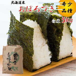 yӂ邳Ɣ[Łz  10{珇  V ߘa7NxY kC ڂÂ  5kg 󏭕     ٓ ɂ 퉷 kC VЂ  \t 