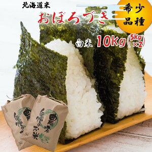 yӂ邳Ɣ[Łz  10{甭Jn  V ߘa7NxY kC ڂÂ  10kg (5kg×2) 󏭕     ٓ ɂ 퉷 kC VЂ  \t 