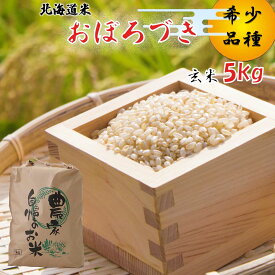 【ふるさと納税】 令和7年度産 北海道米 おぼろづき 玄米 5kg 希少米 米 お米 お弁当 おにぎり 常温 北海道 新ひだか町