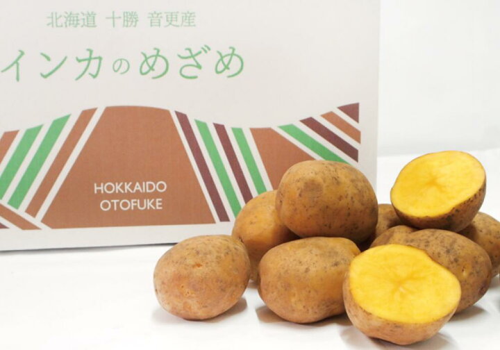 11560円 話題の行列 ふるさと納税 十勝幕別町産 じゃがいも詰合せ10kg インカのめざめ5kg メークイン5kg 本田農場 北海道幕別町 11560円 話題の行列 ふるさと納税 十勝幕別町産 じゃがいも詰合せ10kg インカのめざめ5kg メークイン5kg 本田農場 北海道幕別町