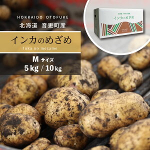 yӂ邳Ɣ[ŁzystzIׂeʁƂӂYႪuCĴ߂߁v 5kg 10kg MTCYy2025N11{菇\z WKC    kC X 