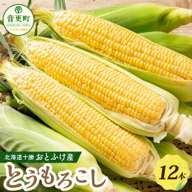 【ふるさと納税】【先行受付】おとふけ産とうもろこし 12本【B18】 とうもろこし トウモロコシ コーン 野菜 やさい 十勝 冷蔵 北海道 音更町 送料無料【2026年8月中旬頃より順次発送予定】