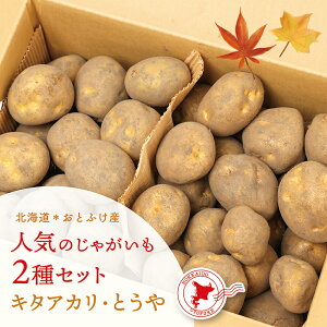 yӂ邳Ɣ[ŁzystzkCƂӂY lĈႪ 2ZbguL^AJEƂve4.5kg v9kg yB73zy2025N10{蔭\zႪ WKC   